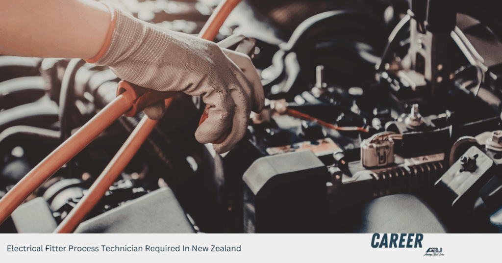 Electrical Fitter Process Technician Required In New Zealand