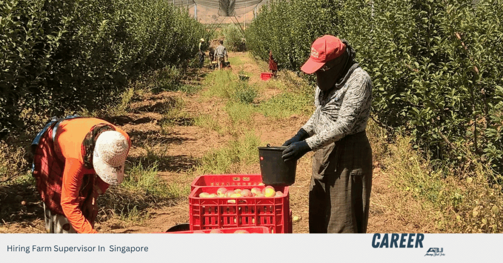 Hiring Farm Supervisor In Singapore