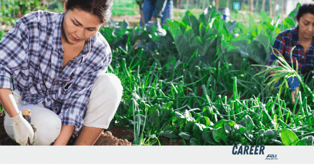 Fruit Pickers Needed in Hawke's Bay, New Zealand