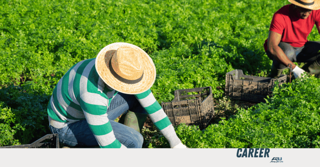 Fruit Pickers Needed in Mildura, Australia