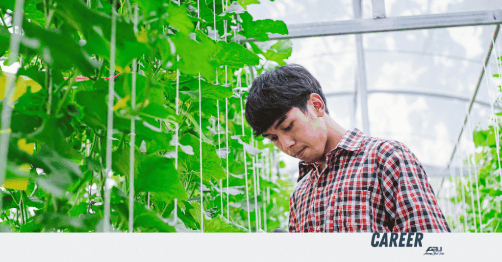 Greenhouse Workers Wanted in Auckland, New Zealand