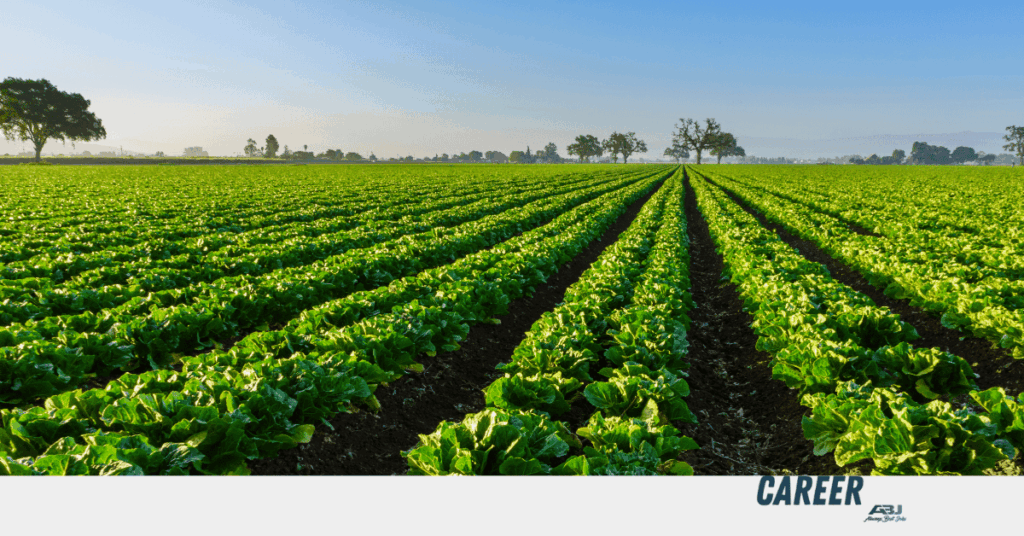 Greenhouse Workers Wanted in Leamington, Canada