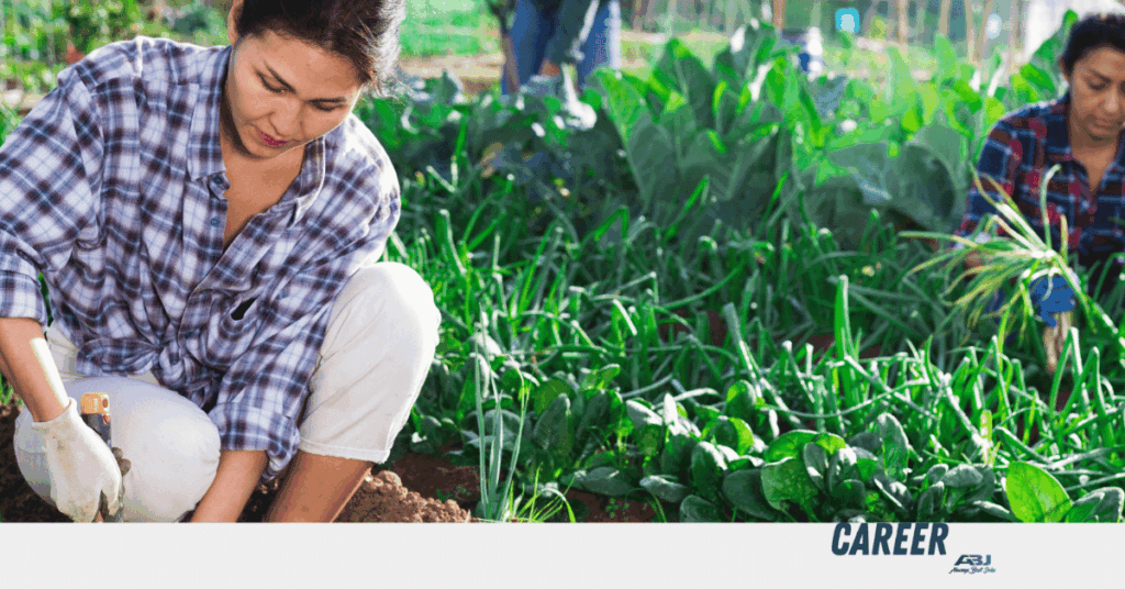 Vegetable Farm Worker Vacancies in Horowhenua, New Zealand