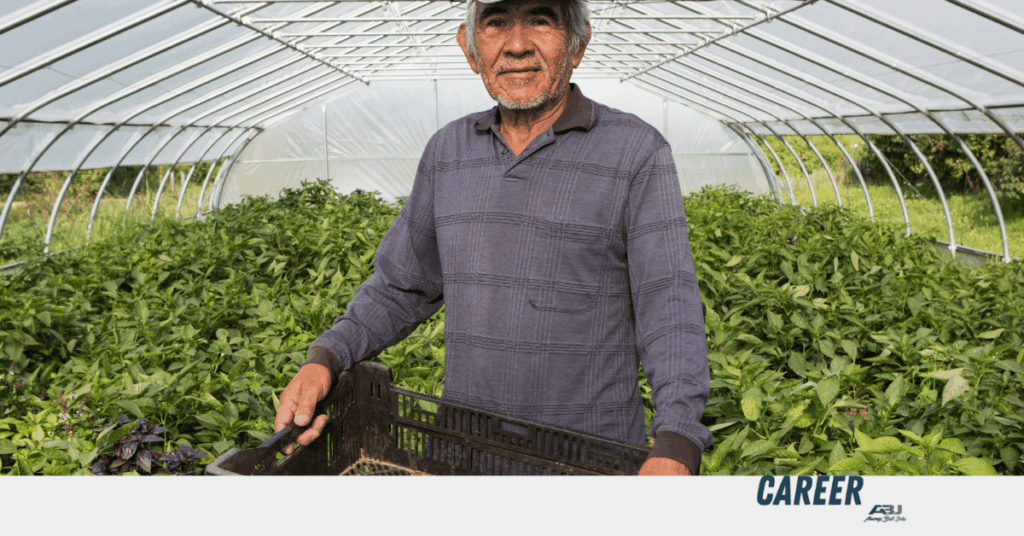 Vegetable Farm Worker Vacancies in Lockyer Valley, Australia